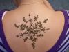 Henna tattoo arts